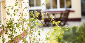 bg-slieve-dhu-nursing-home1-940x475
